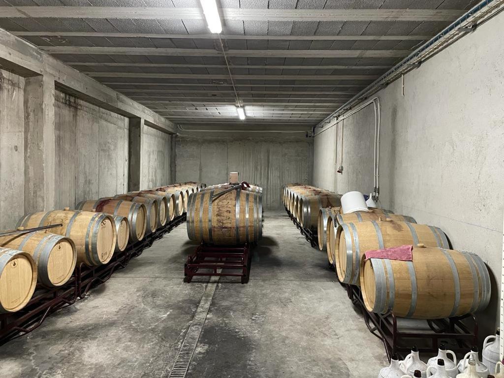 Quinta Da Penada - Vineyard & Winery - Suite 3 Chaves Luaran gambar