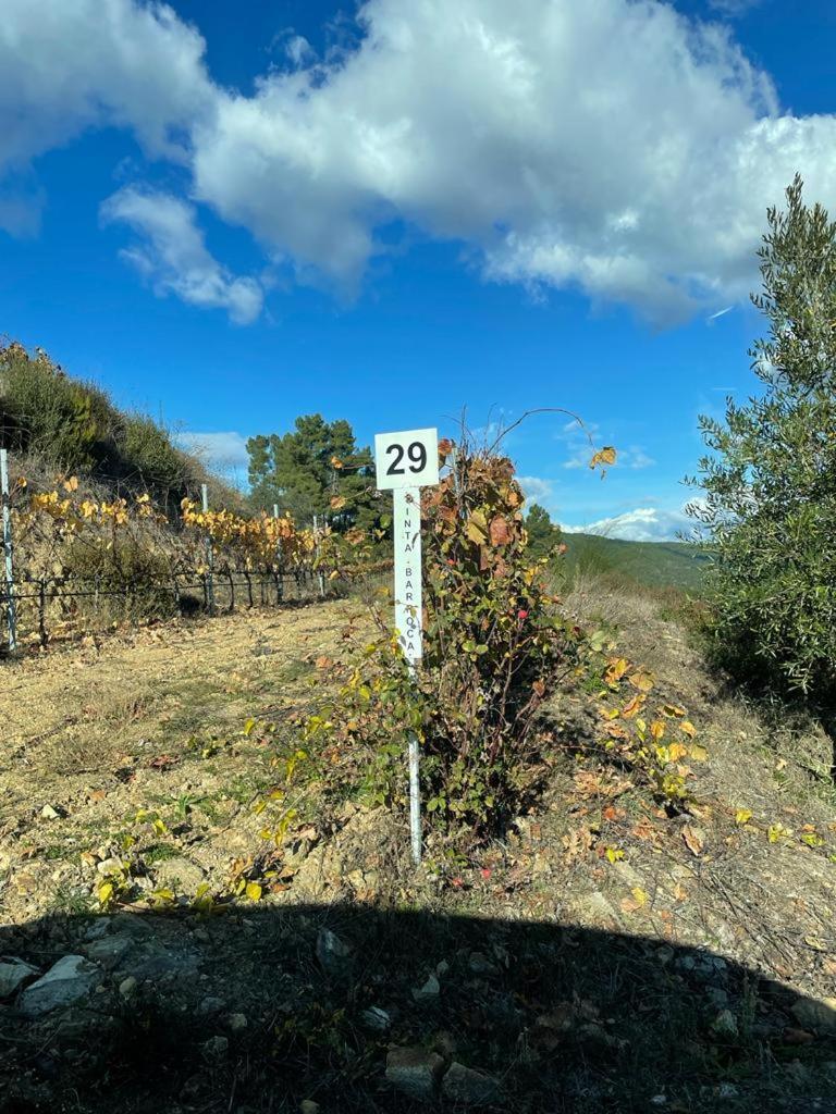 Quinta Da Penada - Vineyard & Winery - Suite 3 Chaves Luaran gambar