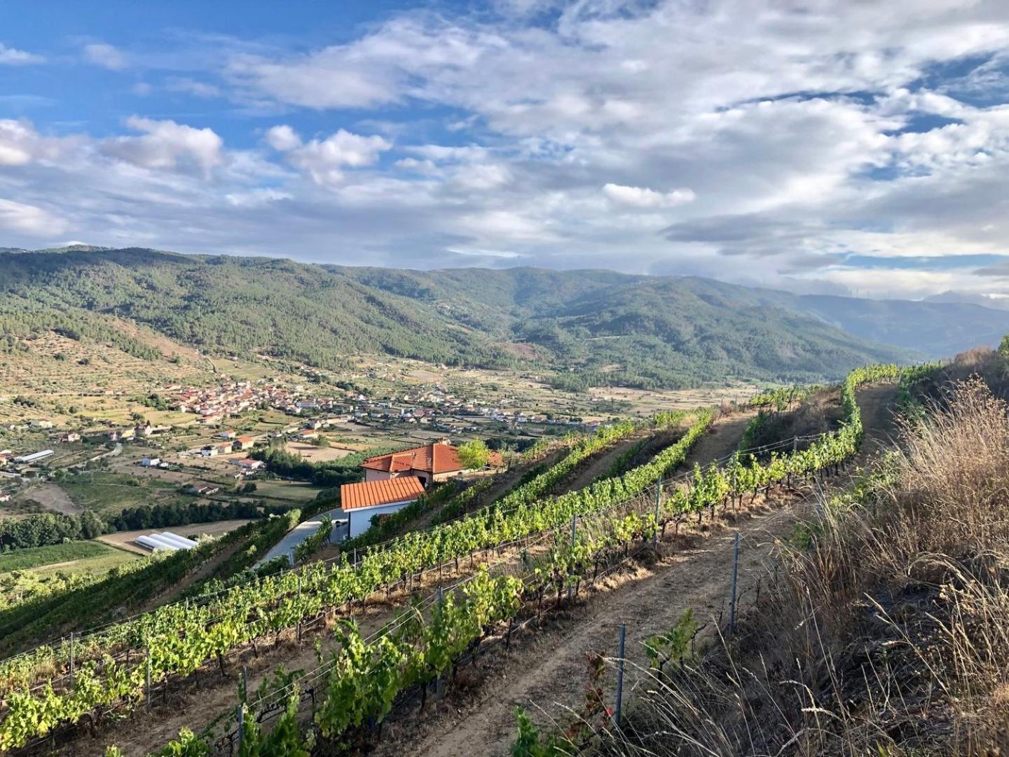 Quinta Da Penada - Vineyard & Winery - Suite 3 Chaves Luaran gambar