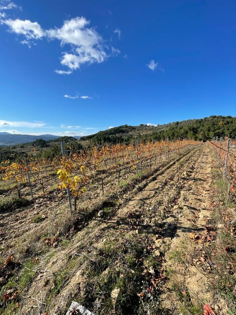 Quinta Da Penada - Vineyard & Winery - Suite 3 Chaves Luaran gambar