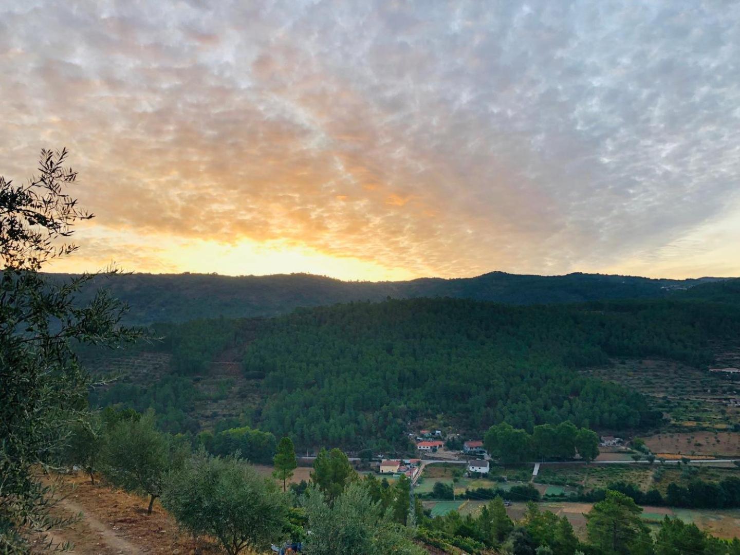 Quinta Da Penada - Vineyard & Winery - Suite 3 Chaves Luaran gambar