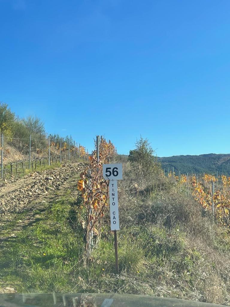 Quinta Da Penada - Vineyard & Winery - Suite 3 Chaves Luaran gambar