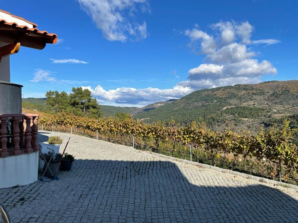Quinta Da Penada - Vineyard & Winery - Suite 3 Chaves Luaran gambar