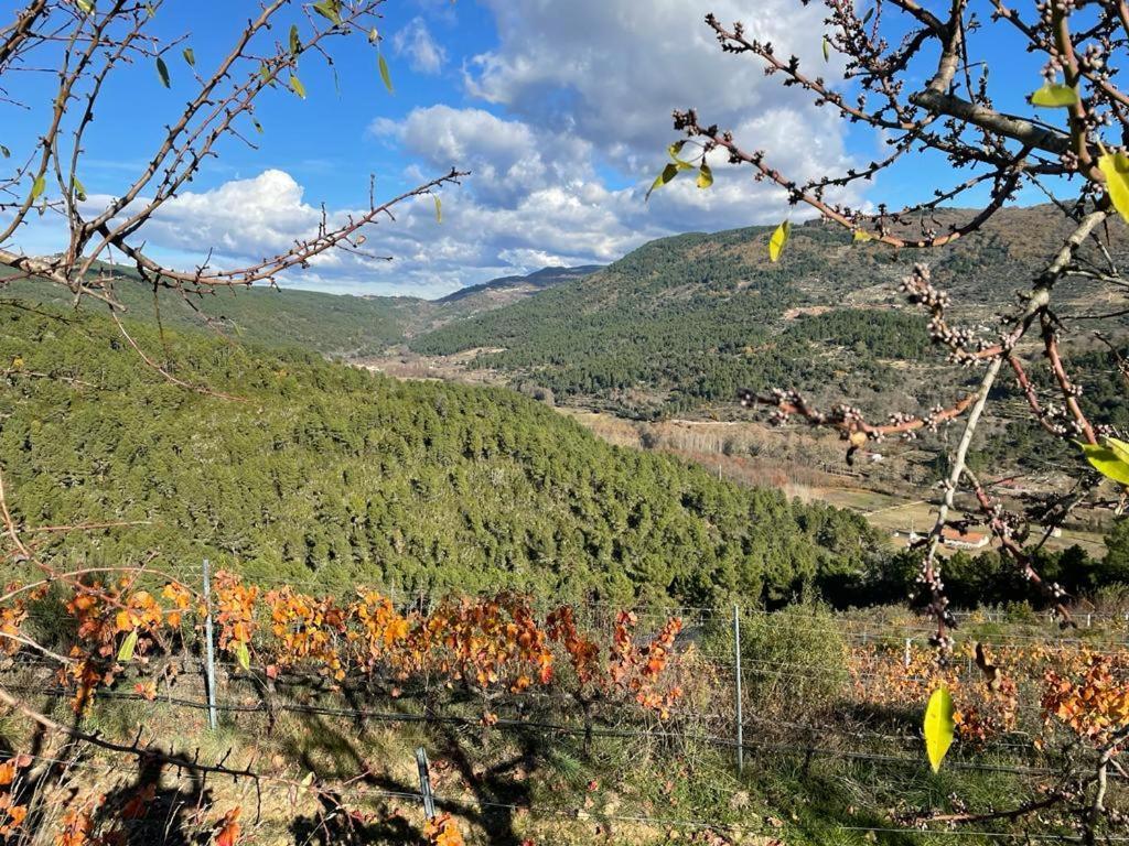 Quinta Da Penada - Vineyard & Winery - Suite 3 Chaves Luaran gambar